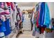 Organized walk-in closet with ample storage and shelving at 1242 Almondwood Dr, Trinity, FL 34655