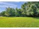 Expansive backyard featuring a lush green lawn and mature trees at 1410 Halapa Way, Trinity, FL 34655