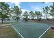 Outdoor basketball court with green surface, white lines, and mature trees in a well-maintained community at 19326 Long Lake Ranch Blvd, Lutz, FL 33558