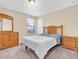 Comfortable bedroom with carpet, a bed, and natural lighting at 19326 Long Lake Ranch Blvd, Lutz, FL 33558