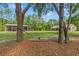 Backyard has a green hammock hanging between two trees in the lawn at 27295 Tarbel Rd, Brooksville, FL 34602