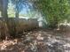 Backyard featuring partial wood fence and chain link fence at 3415 N 51St St, Tampa, FL 33619