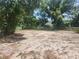 Expansive backyard featuring ample space and framed by lush trees and foliage at 3415 N 51St St, Tampa, FL 33619