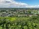 Aerial view showcasing a home nestled amongst green trees and foliage in a quiet suburban neighborhood at 4082 Watson Dr, New Port Richey, FL 34655