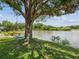 Scenic lake view framed by a large tree with a hanging swing at 4716 Wolfram Ln, New Port Richey, FL 34653
