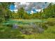 Clear, spring-fed community water feature is surrounded by lush greenery with people enjoying kayaks at 7275 Crystal Spring Run, Weeki Wachee, FL 34607