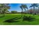 Scenic golf course with lush green fairways, palm trees, and mature landscaping, offering a picturesque setting at 9719 Oakwood Hills Ct, New Port Richey, FL 34655
