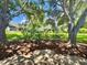 Well-maintained backyard with lush landscaping including mature trees and flowering bushes at 18142 Baywood Forest Dr, Hudson, FL 34667
