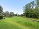 Large grassy backyard view with tall mature trees and a pond at 10097 Holly Berry Dr, Weeki Wachee, FL 34613