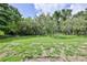 Expansive green backyard with mature trees, offering ample space and privacy at 11510 Lakeview Dr, New Port Richey, FL 34654