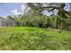 Large, well-maintained backyard with lush green grass and mature trees at 11510 Lakeview Dr, New Port Richey, FL 34654