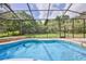 Screen enclosed pool with a view of the green lawn and a scattering of trees at 11510 Lakeview Dr, New Port Richey, FL 34654