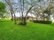 Backyard featuring manicured lawn, mature trees, hedges and a screened in patio area at 12060 Sapphire Dr, Spring Hill, FL 34609
