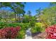 Beautiful backyard featuring lush greenery, mature trees, and colorful foliage at 1265 Royal Oak Dr, Dunedin, FL 34698