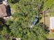 Aerial view of a house surrounded by lush greenery, showcasing the tranquil setting and privacy at 13901 Vacation Ln, Odessa, FL 33556