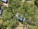 An aerial view showing the lush green trees surrounding the house, providing a sense of privacy at 13901 Vacation Ln, Odessa, FL 33556