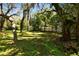 Green backyard with a lawn and mature trees providing shade and a sense of privacy at 13901 Vacation Ln, Odessa, FL 33556