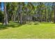Shady picnic area on a lush lawn, featuring picnic tables and benches for outdoor enjoyment at 13901 Vacation Ln, Odessa, FL 33556
