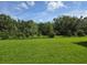 This expansive backyard features lush green grass, and tree-lined boundaries for maximum privacy at 14425 Maiden Ter, Lakewood Ranch, FL 34211