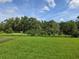 The backyard features expansive green grass, and tree-lined boundaries for maximum privacy at 14425 Maiden Ter, Lakewood Ranch, FL 34211