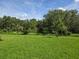 Expansive green backyard with lush trees creating a serene and private setting at 14429 Maiden Ter, Lakewood Ranch, FL 34211