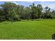 Beautiful backyard with a well-maintained lawn surrounded by lush greenery and mature trees at 14429 Maiden Ter, Lakewood Ranch, FL 34211