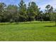 Large grassy backyard with mature trees in the background of the property at 14437 Maiden Ter, Lakewood Ranch, FL 34211