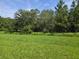 Large grassy backyard with mature trees in the background of the property at 14437 Maiden Ter, Lakewood Ranch, FL 34211