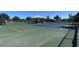 Well-maintained tennis courts, offering recreational opportunities for residents in the community at 1783 Oak Hammock Ct, Lutz, FL 33558