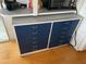 Built-in blue drawers provide storage space at 21045 Lazy Days Cir, Lutz, FL 33558