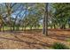 Picturesque view of a golf course with mature trees casting shadows on the ground at 2342 Countryside Dr, Spring Hill, FL 34606