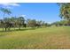 Expansive green golf course with mature trees and a clear blue sky at 2342 Countryside Dr, Spring Hill, FL 34606