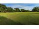 Expansive view of the golf course with lush greenery and mature trees at 2987 Wentworth Way, Tarpon Springs, FL 34688