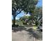 Tree-lined street in a quiet neighborhood at 4015 Angel Oak Ct # 201, Tampa, FL 33613