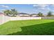 Expansive backyard with lush green grass and a white privacy fence, offering plenty of space for activities at 4083 Woods Rider Loop, Odessa, FL 33556