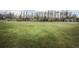Expansive soccer field with well-maintained grass, soccer goals, and lined by a dense forest in the background at 4197 Glade Wood Loop, New Port Richey, FL 34655