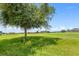 Lush backyard features a large tree and sprawling green space with golf course views at 7059 Wirevine Dr, Brooksville, FL 34602