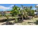 Backyard featuring a wooden fence, mature trees, and well maintained landscaping at 7133 Box Elder Dr, Port Richey, FL 34668