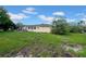 A spacious backyard with green grass, a patio, and mature trees at 7133 Box Elder Dr, Port Richey, FL 34668