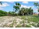 The backyard showcases a blank canvas for landscaping, featuring native trees and partially exposed soil at 7133 Box Elder Dr, Port Richey, FL 34668
