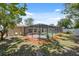 Spacious backyard with pool view from yard at 8404 Fishhawk Ave, New Port Richey, FL 34653