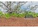 Tranquil view of park bench beneath mature trees, offering a peaceful resting spot at 10115 Ringling St, New Port Richey, FL 34655