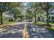 Charming street view lined with mature trees and well-maintained homes at 10115 Ringling St, New Port Richey, FL 34655