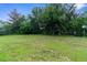 Manicured backyard with lush green grass and mature trees at 13125 Jessica Dr, Spring Hill, FL 34609