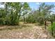 Large grassy backyard with a border of trees and brush in a private and quiet setting at 13345 Convent Garden Rd, Brooksville, FL 34613