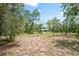 A view of a verdant, wooded lot with the home situated in the distance, offering privacy at 13345 Convent Garden Rd, Brooksville, FL 34613