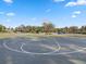 A well-maintained outdoor basketball court with a hoop for community recreation at 14000 Lugano Ct, Hudson, FL 34669