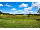 Lush backyard with green grass and a serene, natural setting at 364 Waterfall Dr, Spring Hill, FL 34608