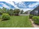 Expansive backyard featuring lush green grass, mature trees, and a well-maintained fence for added privacy at 4026 Bonfire Dr, Odessa, FL 33556