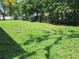 Large back yard with mature trees and shrubs and partial fence at 4420 Sawgrass Blvd, New Port Richey, FL 34653